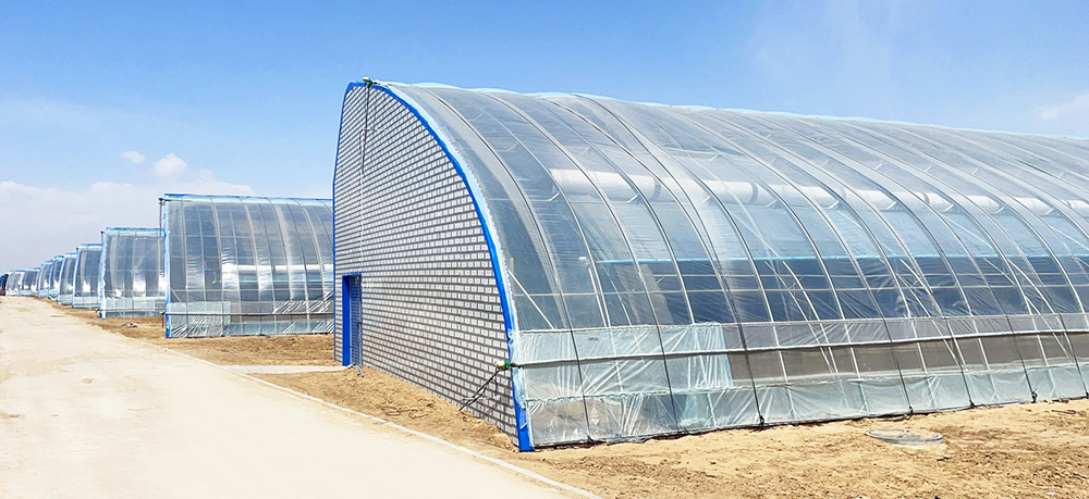 溫室圖1000.jpg 溫室圖1000.jpg