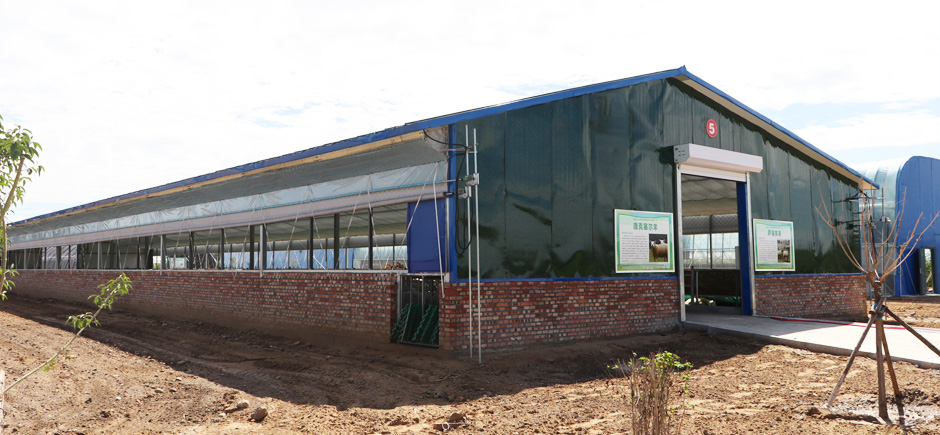 準旗羊場網站6圖940.jpg 準旗羊場網站6圖940.jpg