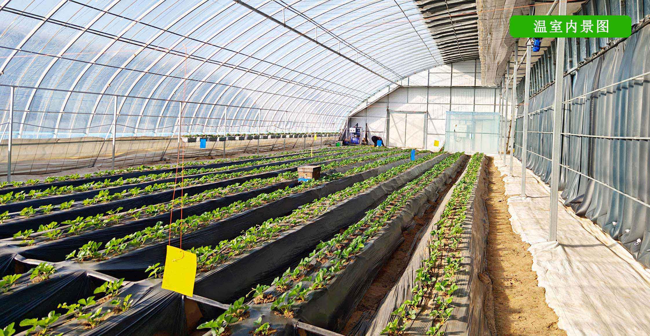 2、全天候四季溫室網頁_12.jpg