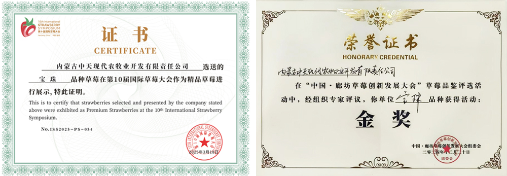 第10屆國(guó)際草大會(huì)作為精品草莓進(jìn)行展示切.jpg